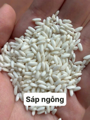 gạo nếp ngon, cách chọn gạo nếp, nếp cái hoa vàng, nếp nương, nếp than, phân biệt gạo nếp, xôi ngon từ gạo gì, mua nếp ngon Hà Nội, xôi Đất Bắc, món xôi truyền thống, nếp chuẩn Bắc, nếp dẻo thơm, gạo nếp bán sỉ, nguyên liệu nấu xôi, gạo nếp truyền thống, gạo nếp sạch, nếp làm bánh chưng, nếp nấu xôi cúng, chợ gạo nếp, nếp Campuchia, nếp Thái, gạo nếp nấu chè, gạo nếp nấu xôi, xôi truyền thống Hà Nội, xôi ngon miền Bắc, học nấu xôi, mở quán xôi, cách nấu xôi dẻo, xôi sỉ Hà Nội, cung cấp gạo nếp, đại lý nếp, mua nếp ở đâu, đặc sản nếp ngon, nếp dẻo không dính tay, món ngon từ gạo nếp, lá dong nấu xôi, gia truyền nấu xôi, gạo nếp sạch an toàn, hướng dẫn đồ xôi, xôi gói lá chuối, xôi gấc, xôi ngũ sắc, xôi đậu xanh, nếp ngon nấu bánh khúc, nếp ngon giá sỉ, chợ đầu mối gạo, gạo nếp miền Bắc, xôi bán sáng, nguyên liệu xôi truyền thống. Hashtag: #XoiDatBac #GaoNepNgon #NepCaiHoaVang #NepNuong #NepThan #XoiTruyenThong #MonNgonTuGaoNep #CachChonGaoNep #XoiNgonHaNoi #DoXoiGiaTruyen