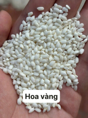 gạo nếp ngon, cách chọn gạo nếp, nếp cái hoa vàng, nếp nương, nếp than, phân biệt gạo nếp, xôi ngon từ gạo gì, mua nếp ngon Hà Nội, xôi Đất Bắc, món xôi truyền thống, nếp chuẩn Bắc, nếp dẻo thơm, gạo nếp bán sỉ, nguyên liệu nấu xôi, gạo nếp truyền thống, gạo nếp sạch, nếp làm bánh chưng, nếp nấu xôi cúng, chợ gạo nếp, nếp Campuchia, nếp Thái, gạo nếp nấu chè, gạo nếp nấu xôi, xôi truyền thống Hà Nội, xôi ngon miền Bắc, học nấu xôi, mở quán xôi, cách nấu xôi dẻo, xôi sỉ Hà Nội, cung cấp gạo nếp, đại lý nếp, mua nếp ở đâu, đặc sản nếp ngon, nếp dẻo không dính tay, món ngon từ gạo nếp, lá dong nấu xôi, gia truyền nấu xôi, gạo nếp sạch an toàn, hướng dẫn đồ xôi, xôi gói lá chuối, xôi gấc, xôi ngũ sắc, xôi đậu xanh, nếp ngon nấu bánh khúc, nếp ngon giá sỉ, chợ đầu mối gạo, gạo nếp miền Bắc, xôi bán sáng, nguyên liệu xôi truyền thống. Hashtag: #XoiDatBac #GaoNepNgon #NepCaiHoaVang #NepNuong #NepThan #XoiTruyenThong #MonNgonTuGaoNep #CachChonGaoNep #XoiNgonHaNoi #DoXoiGiaTruyen gạo nếp ngon, cách chọn gạo nếp, nếp cái hoa vàng, nếp nương, nếp than, phân biệt gạo nếp, xôi ngon từ gạo gì, mua nếp ngon Hà Nội, xôi Đất Bắc, món xôi truyền thống, nếp chuẩn Bắc, nếp dẻo thơm, gạo nếp bán sỉ, nguyên liệu nấu xôi, gạo nếp truyền thống, gạo nếp sạch, nếp làm bánh chưng, nếp nấu xôi cúng, chợ gạo nếp, nếp Campuchia, nếp Thái, gạo nếp nấu chè, gạo nếp nấu xôi, xôi truyền thống Hà Nội, xôi ngon miền Bắc, học nấu xôi, mở quán xôi, cách nấu xôi dẻo, xôi sỉ Hà Nội, cung cấp gạo nếp, đại lý nếp, mua nếp ở đâu, đặc sản nếp ngon, nếp dẻo không dính tay, món ngon từ gạo nếp, lá dong nấu xôi, gia truyền nấu xôi, gạo nếp sạch an toàn, hướng dẫn đồ xôi, xôi gói lá chuối, xôi gấc, xôi ngũ sắc, xôi đậu xanh, nếp ngon nấu bánh khúc, nếp ngon giá sỉ, chợ đầu mối gạo, gạo nếp miền Bắc, xôi bán sáng, nguyên liệu xôi truyền thống. Hashtag: #XoiDatBac #GaoNepNgon #NepCaiHoaVang #NepNuong #NepThan #XoiTruyenThong #MonNgonTuGaoNep #CachChonGaoNep #XoiNgonHaNoi #DoXoiGiaTruyen