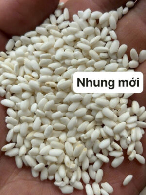 gạo nếp ngon, cách chọn gạo nếp, nếp cái hoa vàng, nếp nương, nếp than, phân biệt gạo nếp, xôi ngon từ gạo gì, mua nếp ngon Hà Nội, xôi Đất Bắc, món xôi truyền thống, nếp chuẩn Bắc, nếp dẻo thơm, gạo nếp bán sỉ, nguyên liệu nấu xôi, gạo nếp truyền thống, gạo nếp sạch, nếp làm bánh chưng, nếp nấu xôi cúng, chợ gạo nếp, nếp Campuchia, nếp Thái, gạo nếp nấu chè, gạo nếp nấu xôi, xôi truyền thống Hà Nội, xôi ngon miền Bắc, học nấu xôi, mở quán xôi, cách nấu xôi dẻo, xôi sỉ Hà Nội, cung cấp gạo nếp, đại lý nếp, mua nếp ở đâu, đặc sản nếp ngon, nếp dẻo không dính tay, món ngon từ gạo nếp, lá dong nấu xôi, gia truyền nấu xôi, gạo nếp sạch an toàn, hướng dẫn đồ xôi, xôi gói lá chuối, xôi gấc, xôi ngũ sắc, xôi đậu xanh, nếp ngon nấu bánh khúc, nếp ngon giá sỉ, chợ đầu mối gạo, gạo nếp miền Bắc, xôi bán sáng, nguyên liệu xôi truyền thống. Hashtag: #XoiDatBac #GaoNepNgon #NepCaiHoaVang #NepNuong #NepThan #XoiTruyenThong #MonNgonTuGaoNep #CachChonGaoNep #XoiNgonHaNoi #DoXoiGiaTruyen