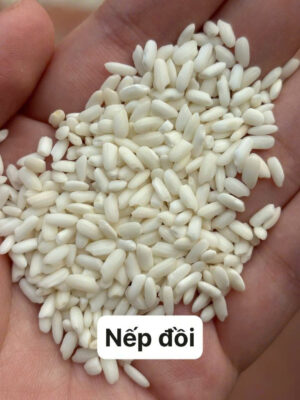 gạo nếp ngon, cách chọn gạo nếp, nếp cái hoa vàng, nếp nương, nếp than, phân biệt gạo nếp, xôi ngon từ gạo gì, mua nếp ngon Hà Nội, xôi Đất Bắc, món xôi truyền thống, nếp chuẩn Bắc, nếp dẻo thơm, gạo nếp bán sỉ, nguyên liệu nấu xôi, gạo nếp truyền thống, gạo nếp sạch, nếp làm bánh chưng, nếp nấu xôi cúng, chợ gạo nếp, nếp Campuchia, nếp Thái, gạo nếp nấu chè, gạo nếp nấu xôi, xôi truyền thống Hà Nội, xôi ngon miền Bắc, học nấu xôi, mở quán xôi, cách nấu xôi dẻo, xôi sỉ Hà Nội, cung cấp gạo nếp, đại lý nếp, mua nếp ở đâu, đặc sản nếp ngon, nếp dẻo không dính tay, món ngon từ gạo nếp, lá dong nấu xôi, gia truyền nấu xôi, gạo nếp sạch an toàn, hướng dẫn đồ xôi, xôi gói lá chuối, xôi gấc, xôi ngũ sắc, xôi đậu xanh, nếp ngon nấu bánh khúc, nếp ngon giá sỉ, chợ đầu mối gạo, gạo nếp miền Bắc, xôi bán sáng, nguyên liệu xôi truyền thống. Hashtag: #XoiDatBac #GaoNepNgon #NepCaiHoaVang #NepNuong #NepThan #XoiTruyenThong #MonNgonTuGaoNep #CachChonGaoNep #XoiNgonHaNoi #DoXoiGiaTruyen