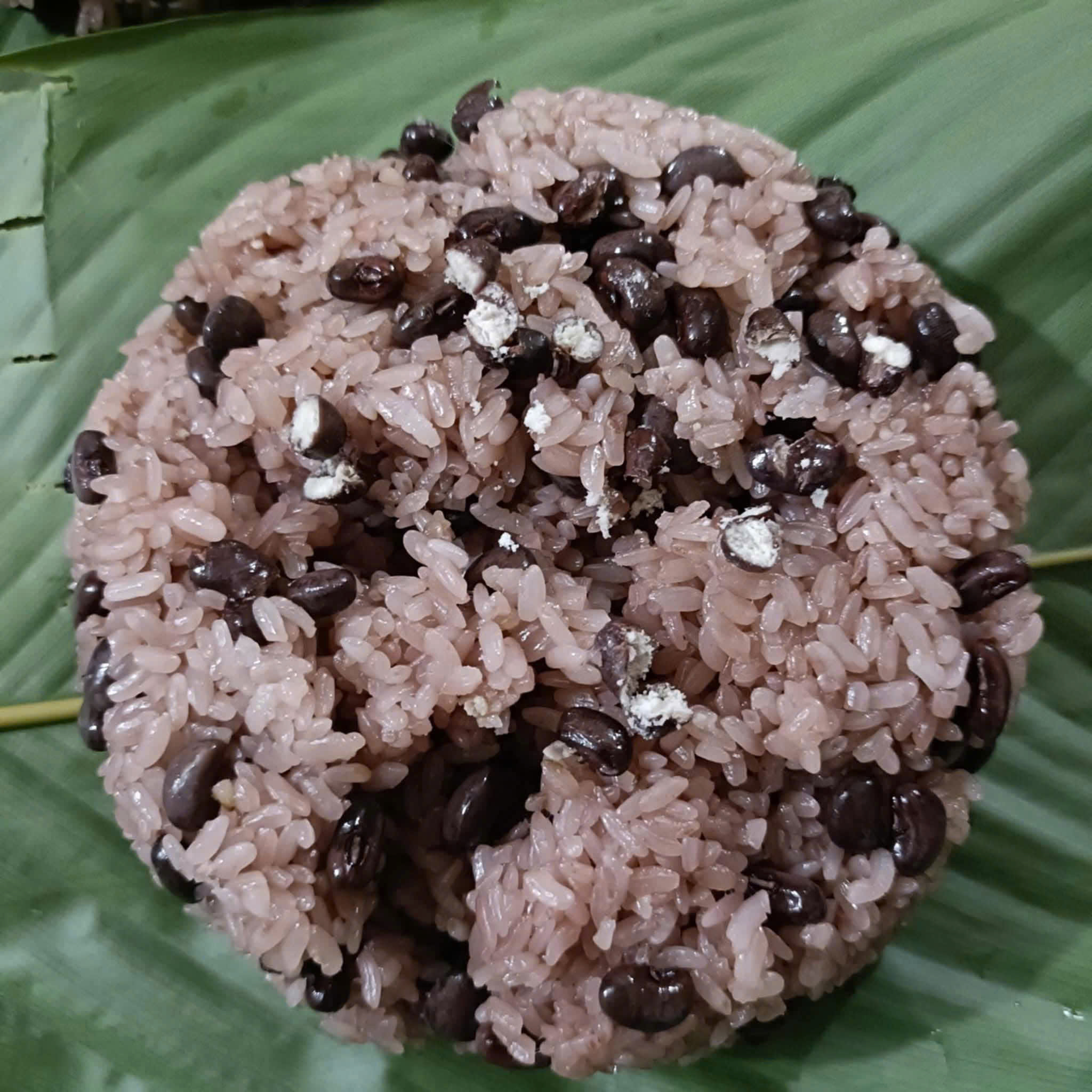 xôi phú thượng, xôi sáng phú thượng, bán xôi buổi sáng, sỉ xôi buổi sáng, lẻ xôi buổi sáng, cung cấp xôi buổi sáng, giao xôi sáng tận nơi, xôi gấc phú thượng, xôi đỗ xanh phú thượng, xôi xéo phú thượng, xôi đậu xanh, xôi ngô phú thượng, xôi cốm phú thượng, xôi đỗ đen phú thượng, xôi lạc phú thượng, xôi lá cẩm, xôi sắn phú thượng, xôi vò phú thượng, xôi cẩm phú thượng, xôi dừa phú thượng, xôi gà phú thượng, xôi thịt kho phú thượng, xôi chim phú thượng, xôi mặn phú thượng, xôi ngọt phú thượng, xôi gấc đỗ xanh, xôi lễ phú thượng, xôi cúng phú thượng, xôi giỗ phú thượng, xôi cưới phú thượng, xôi đám hỏi phú thượng, xôi truyền thống phú thượng, xôi làng nghề, làng nghề xôi phú thượng, làng xôi hà nội, xôi hà nội ngon, xôi hà nội bán sỉ, xôi hà nội bán lẻ, bán xôi sỉ lẻ hà nội, bán xôi sỉ lẻ phú thượng, đại lý xôi hà nội, đại lý xôi phú thượng, sỉ lẻ xôi các quận hà nội, cung cấp xôi các quận hà nội, xôi quận ba đình, xôi quận đống đa, xôi quận cầu giấy, xôi quận thanh xuân, xôi quận hai bà trưng, xôi quận hoàn kiếm, xôi quận hoàng mai, xôi quận long biên, xôi quận tây hồ, xôi quận hà đông, xôi quận nam từ liêm, xôi quận bắc từ liêm, giao xôi các quận hà nội, ship xôi sáng hà nội, xôi hà nội các phường xã, xôi lễ các quận hà nội, xôi cưới các quận hà nội, bán xôi buổi sáng hà nội, xôi ngon hà nội, xôi ngon phú thượng, xôi ngon các tỉnh, xôi ngon miền bắc, xôi ngon miền trung, xôi ngon miền nam, cung cấp xôi các tỉnh thành, bán xôi đi tỉnh, ship xôi toàn quốc, bán xôi online, bán xôi truyền thống online, sỉ xôi cưới hỏi, sỉ xôi cúng lễ, sỉ xôi đám giỗ, xôi sự kiện, xôi hội nghị, xôi liên hoan, xôi nhà hàng, xôi quán ăn sáng, xôi cho căng tin, xôi cho quán cà phê, xôi buffet sáng, xôi ăn liền, xôi hấp nóng, xôi gói lá dong, xôi gói hộp, xôi giao tận nơi, xôi phú thượng giao sỉ, xôi phú thượng giao lẻ, xôi các quận nội thành, xôi các huyện ngoại thành, xôi chợ đầu mối, xôi khu công nghiệp, xôi cho nhân viên văn phòng, xôi học sinh sinh viên, xôi tiệc, xôi lễ tết, xôi trung thu, xôi rằm tháng bảy, xôi tết nguyên đán, xôi khai trương, xôi đầy tháng, xôi thôi nôi, xôi cúng tổ tiên, xôi cúng thần tài, xôi cúng ông công ông táo, xôi ngày rằm, xôi mùng một, xôi nhà thờ họ, xôi đình chùa, xôi đền phủ, xôi lễ hội, xôi đám cưới, xôi ăn hỏi, xôi đám giỗ, xôi đám ma, xôi đền hùng, xôi quốc giỗ, xôi truyền thống làng nghề, xôi từ làng nghề, xôi thủ công, xôi gia truyền, xôi ngon giao nhanh, xôi gấc đỏ, xôi đỗ xanh thơm, xôi đỗ đen dẻo, xôi ngô ngọt, xôi sắn bùi, xôi cẩm tím, xôi cốm xanh, xôi dừa béo, xôi lạc rang, xôi chim câu, xôi thịt kho tàu, xôi gà xé, xôi trứng muối, xôi pate, xôi giò chả, xôi mặn đủ vị, xôi ngọt đủ vị, xôi combo sáng, xôi dinh dưỡng, xôi an toàn vệ sinh, xôi sạch, xôi giao nhanh hà nội, xôi ship tỉnh, xôi giá sỉ rẻ, xôi sỉ số lượng lớn, xôi lẻ linh hoạt, đặt xôi sự kiện, đặt xôi cưới hỏi, đặt xôi lễ tết, đặt xôi cúng giỗ, đặt xôi buổi sáng, đặt xôi cho công ty, đặt xôi trường học, đặt xôi hội thảo, xôi đóng hộp giao tận nơi, xôi phú thượng đi tỉnh, xôi phú thượng giao hàng nhanh, xôi truyền thống giao hàng toàn quốc, xôi gia truyền hà nội, xôi làng nghề phú thượng nổi tiếng, xôi ngon bảo quản tốt, xôi sạch không chất bảo quản, xôi đủ loại nhân, xôi đa dạng mùi vị, xôi giao hàng 24/7, xôi bán sỉ các tỉnh, xôi bán lẻ toàn quốc, đại lý xôi các tỉnh, cộng tác viên bán xôi, nhượng quyền bán xôi, hợp tác bán xôi, mở quán xôi buổi sáng, mở đại lý xôi, bán xôi online toàn quốc. xôi phú thượng, xôi sáng phú thượng, bán xôi buổi sáng, sỉ xôi buổi sáng, lẻ xôi buổi sáng, cung cấp xôi buổi sáng, giao xôi sáng tận nơi, xôi gấc phú thượng, xôi đỗ xanh phú thượng, xôi xéo phú thượng, xôi đậu xanh, xôi ngô phú thượng, xôi cốm phú thượng, xôi đỗ đen phú thượng, xôi lạc phú thượng, xôi lá cẩm, xôi sắn phú thượng, xôi vò phú thượng, xôi cẩm phú thượng, xôi dừa phú thượng, xôi gà phú thượng, xôi thịt kho phú thượng, xôi chim phú thượng, xôi mặn phú thượng, xôi ngọt phú thượng, xôi gấc đỗ xanh, xôi lễ phú thượng, xôi cúng phú thượng, xôi giỗ phú thượng, xôi cưới phú thượng, xôi đám hỏi phú thượng, xôi truyền thống phú thượng, xôi làng nghề, làng nghề xôi phú thượng, làng xôi hà nội, xôi hà nội ngon, xôi hà nội bán sỉ, xôi hà nội bán lẻ, bán xôi sỉ lẻ hà nội, bán xôi sỉ lẻ phú thượng, đại lý xôi hà nội, đại lý xôi phú thượng, sỉ lẻ xôi các quận hà nội, cung cấp xôi các quận hà nội, xôi quận ba đình, xôi quận đống đa, xôi quận cầu giấy, xôi quận thanh xuân, xôi quận hai bà trưng, xôi quận hoàn kiếm, xôi quận hoàng mai, xôi quận long biên, xôi quận tây hồ, xôi quận hà đông, xôi quận nam từ liêm, xôi quận bắc từ liêm, giao xôi các quận hà nội, ship xôi sáng hà nội, xôi hà nội các phường xã, xôi lễ các quận hà nội, xôi cưới các quận hà nội, bán xôi buổi sáng hà nội, xôi ngon hà nội, xôi ngon phú thượng, xôi ngon các tỉnh, xôi ngon miền bắc, xôi ngon miền trung, xôi ngon miền nam, cung cấp xôi các tỉnh thành, bán xôi đi tỉnh, ship xôi toàn quốc, bán xôi online, bán xôi truyền thống online, sỉ xôi cưới hỏi, sỉ xôi cúng lễ, sỉ xôi đám giỗ, xôi sự kiện, xôi hội nghị, xôi liên hoan, xôi nhà hàng, xôi quán ăn sáng, xôi cho căng tin, xôi cho quán cà phê, xôi buffet sáng, xôi ăn liền, xôi hấp nóng, xôi gói lá dong, xôi gói hộp, xôi giao tận nơi, xôi phú thượng giao sỉ, xôi phú thượng giao lẻ, xôi các quận nội thành, xôi các huyện ngoại thành, xôi chợ đầu mối, xôi khu công nghiệp, xôi cho nhân viên văn phòng, xôi học sinh sinh viên, xôi tiệc, xôi lễ tết, xôi trung thu, xôi rằm tháng bảy, xôi tết nguyên đán, xôi khai trương, xôi đầy tháng, xôi thôi nôi, xôi cúng tổ tiên, xôi cúng thần tài, xôi cúng ông công ông táo, xôi ngày rằm, xôi mùng một, xôi nhà thờ họ, xôi đình chùa, xôi đền phủ, xôi lễ hội, xôi đám cưới, xôi ăn hỏi, xôi đám giỗ, xôi đám ma, xôi đền hùng, xôi quốc giỗ, xôi truyền thống làng nghề, xôi từ làng nghề, xôi thủ công, xôi gia truyền, xôi ngon giao nhanh, xôi gấc đỏ, xôi đỗ xanh thơm, xôi đỗ đen dẻo, xôi ngô ngọt, xôi sắn bùi, xôi cẩm tím, xôi cốm xanh, xôi dừa béo, xôi lạc rang, xôi chim câu, xôi thịt kho tàu, xôi gà xé, xôi trứng muối, xôi pate, xôi giò chả, xôi mặn đủ vị, xôi ngọt đủ vị, xôi combo sáng, xôi dinh dưỡng, xôi an toàn vệ sinh, xôi sạch, xôi giao nhanh hà nội, xôi ship tỉnh, xôi giá sỉ rẻ, xôi sỉ số lượng lớn, xôi lẻ linh hoạt, đặt xôi sự kiện, đặt xôi cưới hỏi, đặt xôi lễ tết, đặt xôi cúng giỗ, đặt xôi buổi sáng, đặt xôi cho công ty, đặt xôi trường học, đặt xôi hội thảo, xôi đóng hộp giao tận nơi, xôi phú thượng đi tỉnh, xôi phú thượng giao hàng nhanh, xôi truyền thống giao hàng toàn quốc, xôi gia truyền hà nội, xôi làng nghề phú thượng nổi tiếng, xôi ngon bảo quản tốt, xôi sạch không chất bảo quản, xôi đủ loại nhân, xôi đa dạng mùi vị, xôi giao hàng 24/7, xôi bán sỉ các tỉnh, xôi bán lẻ toàn quốc, đại lý xôi các tỉnh, cộng tác viên bán xôi, nhượng quyền bán xôi, hợp tác bán xôi, mở quán xôi buổi sáng, mở đại lý xôi, bán xôi online toàn quốc.