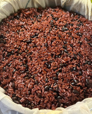 xôi Phú Thượng, xôi Phú Thượng Hà Nội, xôi Phú Thượng truyền thống, xôi Phú Thượng chính gốc, xôi Phú Thượng ngon, xôi Phú Thượng bán sỉ, xôi Phú Thượng giao tỉnh, xôi Phú Thượng Tây Hồ, xôi Phú Thượng nếp cái hoa vàng, xôi Phú Thượng đỗ xanh, xôi Phú Thượng mỡ hành, món xôi Phú Thượng, đặc sản Phú Thượng, làng nghề Phú Thượng, xôi ngon Hà Nội, xôi truyền thống miền Bắc, công thức xôi Phú Thượng, cách làm xôi Phú Thượng, giá xôi Phú Thượng, mua xôi Phú Thượng, sỉ xôi Phú Thượng, xưởng xôi Phú Thượng, Xôi Đất Bắc, xôi Đất Bắc, xôi bán chạy, xôi cho quán ăn, xôi FNB, xôi nguyên liệu sạch, xôi chất lượng, xôi giữ nóng lâu, xôi giao sớm, xôi quán ăn sáng, xôi ruốc, xôi chả, xôi pate, xôi bán theo kg, xôi bán theo suất, xôi cho đại lý, xôi cấp đông Phú Thượng, xôi ngon giao hàng, xôi miền Bắc, xôi Hà Nội giao tỉnh, xôi ăn sáng, xôi học sinh, xôi công nhân, xôi căn tin, xôi ship lạnh, xôi nóng, xôi topping, xôi nguyên bản, xôi hương vị Bắc, xôi nguyên liệu tuyển, xôi đặc biệt, xôi sạch, xôi chất lượng cao, quán xôi Phú Thượng, bán sỉ xôi, đại lý xôi, phân phối xôi, nguồn xôi sạch, đồ xôi truyền thống, gạo nếp xôi, chõ xôi, thúng xôi, xôi đồ, kỹ thuật đồ xôi, bí quyết đồ xôi, hương vị xôi, xôi bán chạy miền Bắc, xôi bán hàng sáng, xôi kinh doanh FNB, xôi lời cao, xôi đóng thùng, xôi giao xe tuyến, xôi hợp tác đại lý, xôi đóng gói, xôi theo yêu cầu, xôi nguyên liệu cao cấp, xôi bán tại tỉnh, xôi ship toàn quốc, xôi ngon chuẩn vị, xôi cho quán mới mở, xôi dành cho trường học, xôi bệnh viện, xôi công ty, xôi sự kiện, xôi hội chợ, xôi hấp dẫn, xôi mềm dẻo, xôi ngon chuẩn Phú Thượng.