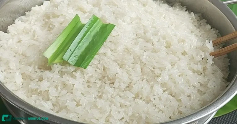 7 NGUYÊN NHÂN XÔI BỊ SƯỢNG VÀ CÁCH KHẮC PHỤC TỪ GỐC